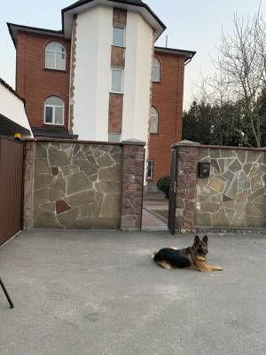 Дом W-7436177, Бродовская, Киев - Фото 3