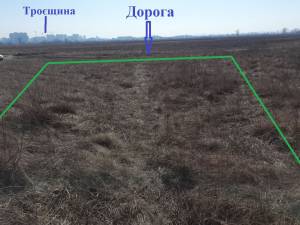 Land W-7267375, Sadova, Pohreby (Brovarskyi) - Photo 2
