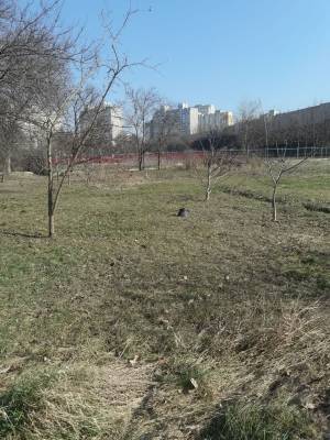 Land W-7274889, Chortoryis'ka (Siedova), Kyiv - Photo 7