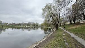 Квартира W-7445909, Кольцевая дорога, 1г, Киев - Фото 16