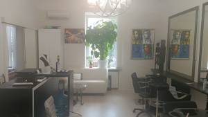  Офис, W-7443470, Чикаленко Евгения (Пушкинская), 20, Киев - Фото 2