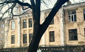 Дуб Николая Пимоненко