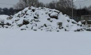 Завлище шин