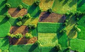 Передача прав на земли сельхозназначения упрощена