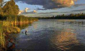 Заповідник