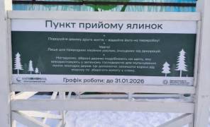 Пункти прийому новорічних дерев