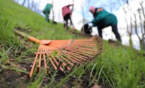 Толока