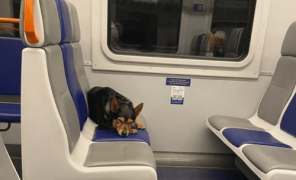 Кольцевая электричка