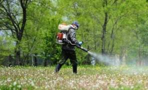 Обробка від кліщів