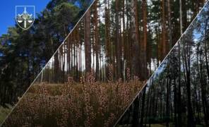 Земля на Київщині