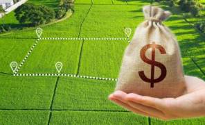 Земля в Киеве